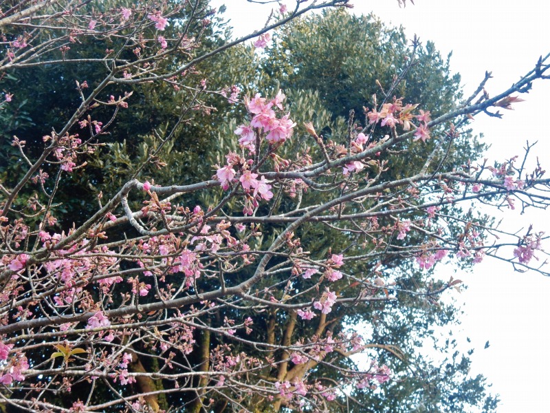 f0182513_015181.jpg