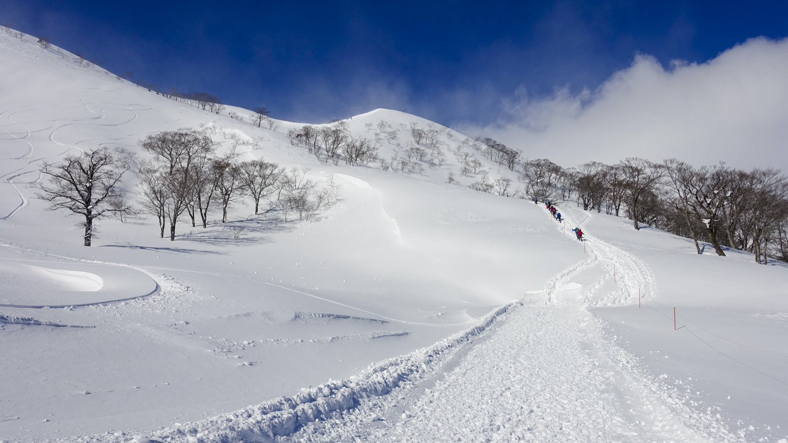 谷川岳、冬の絶景トレッキングのようす_b0029315_15000109.jpg