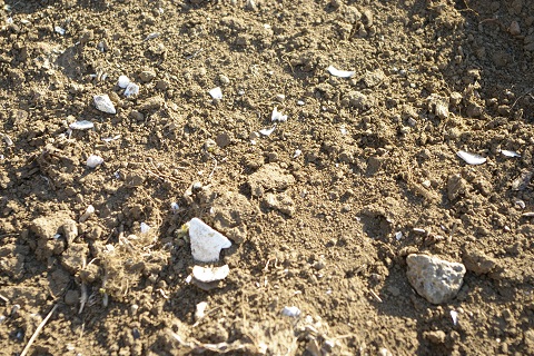 b0275715_3472915.jpg