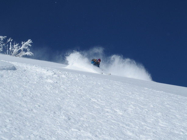 2017年2月　『人生最良のパウダースキー・デー』 February 2017 \"The Best Day of Powder Ski\"_c0219616_22241323.jpg