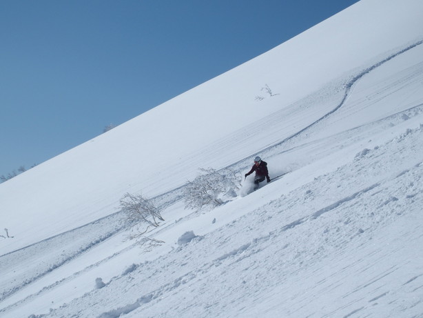 2017年2月　『人生最良のパウダースキー・デー』 February 2017 \"The Best Day of Powder Ski\"_c0219616_2226839.jpg