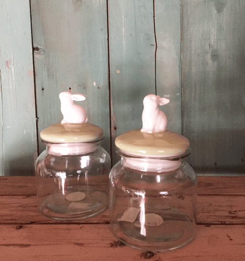 2月のはけ市の花たち_d0157716_0255161.gif