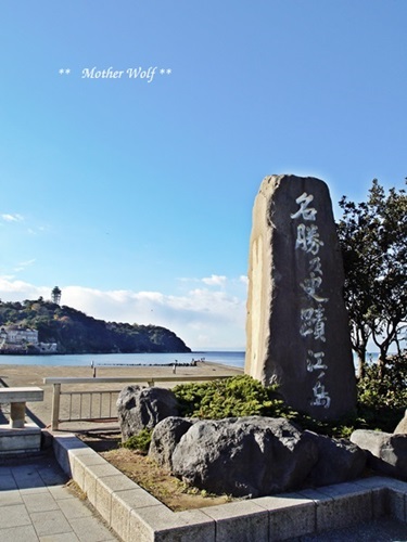第21回マザーウルフ遠足『 海がみた~い♪・・・だったら江ノ島でしょ! 』レポート_e0191026_14212858.jpg