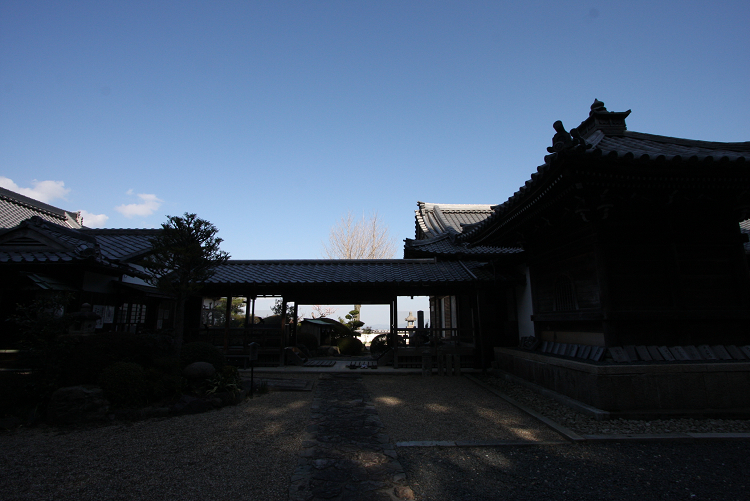 京都回顧 梅の善峯寺_b0169330_7562774.jpg