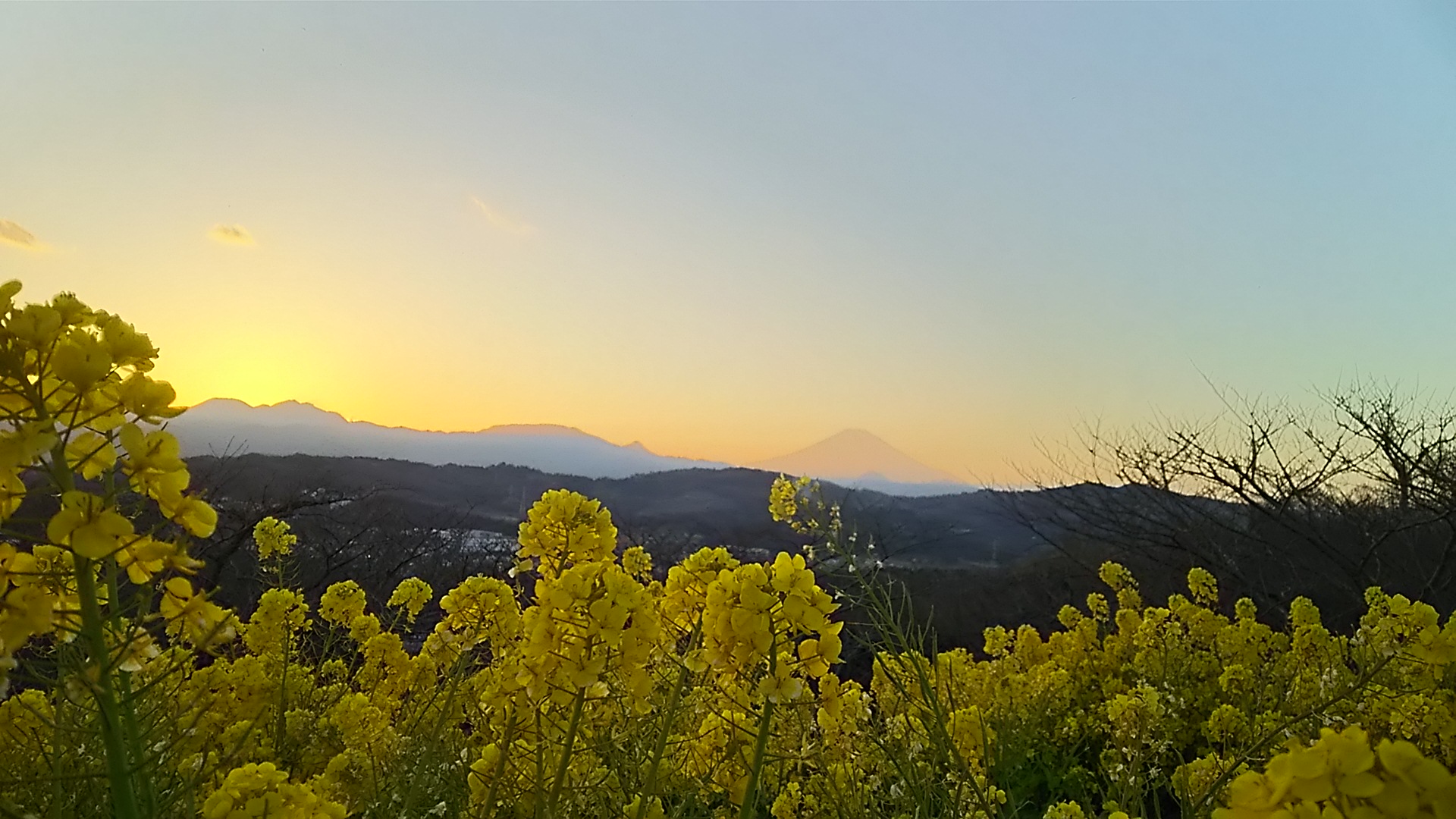 2017吾妻山公園☆☆part３_e0108134_225455.jpg