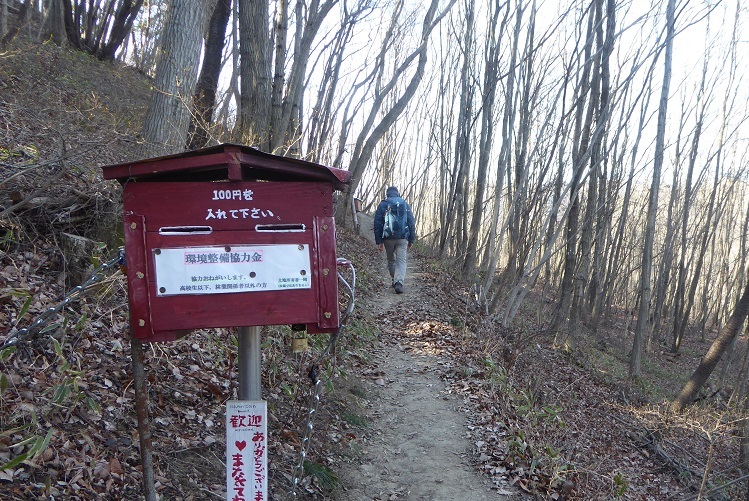 2/3　蝋梅を見に（宝登山）_d0288144_18003479.jpg