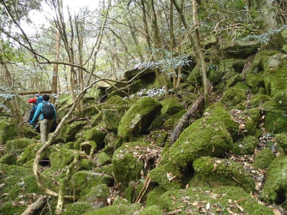 a0206345_06470147.jpg