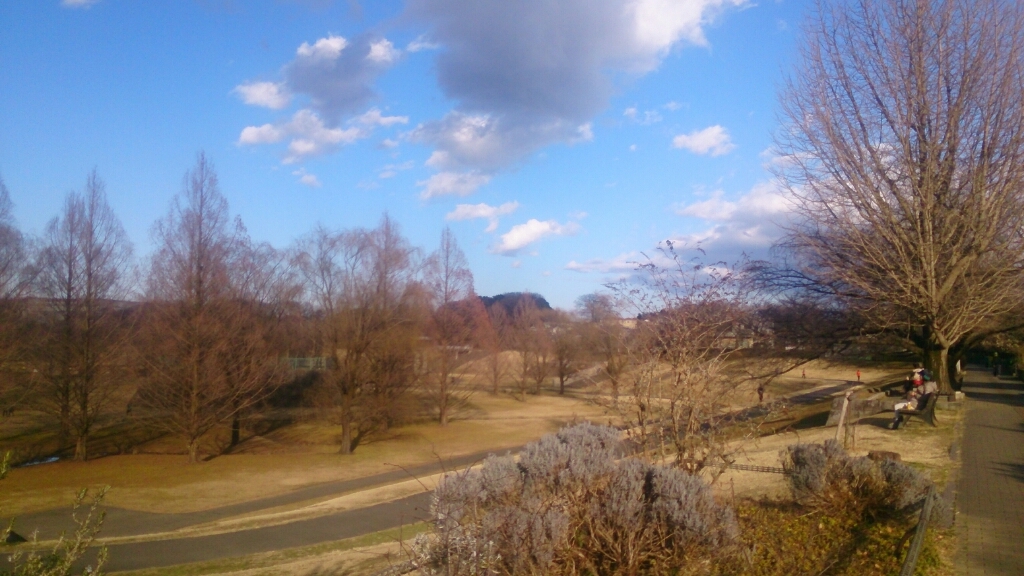 d0116059_14343105.jpg