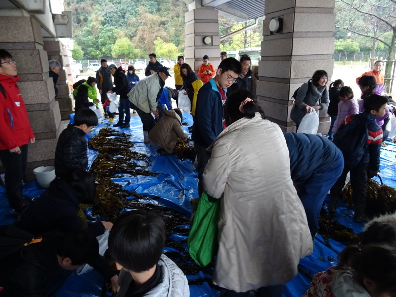 『みんなでワカメを育てよう:収穫祭』・・・せんなん里海公園_c0108460_20490593.jpg