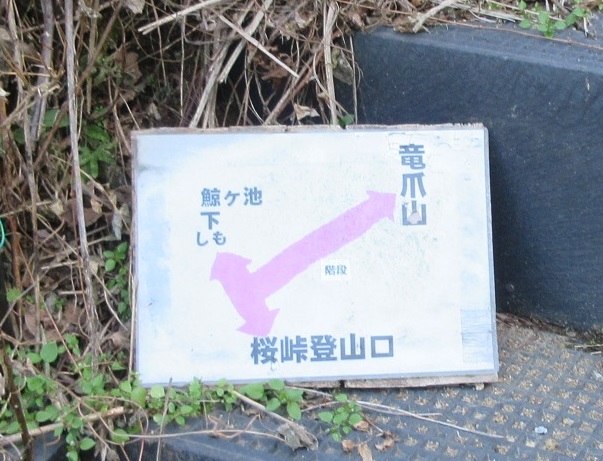 d0164761_15394537.jpg