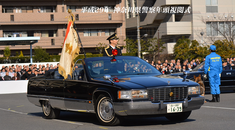 ワンちゃんも行進 『平成29年 神奈川県警察年頭視閲式』(２)_d0251161_20282909.jpg