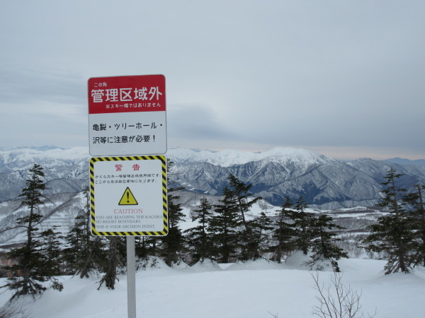 d0010065_20105451.jpg