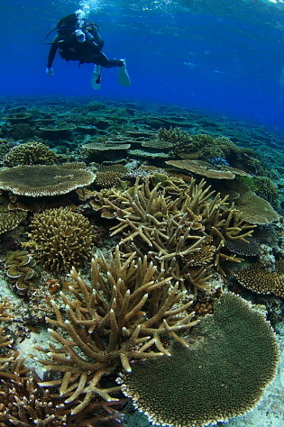 d0114375_23334599.jpg