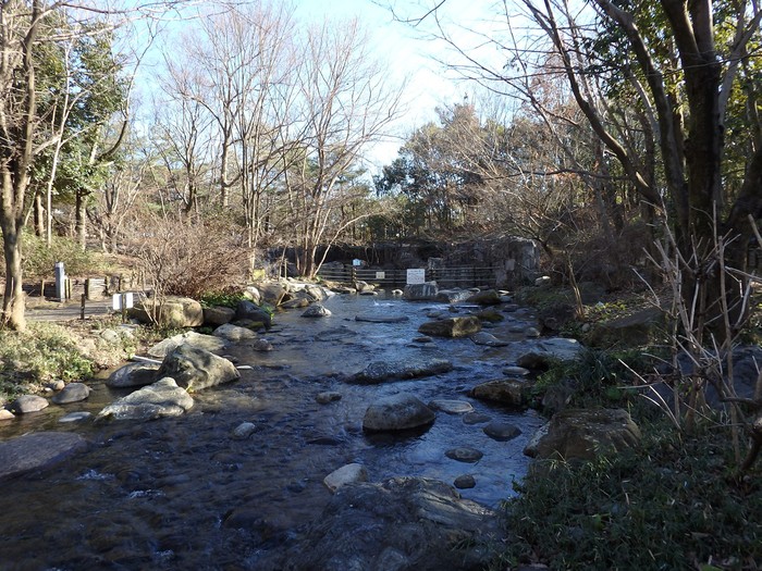 d0054276_19475147.jpg