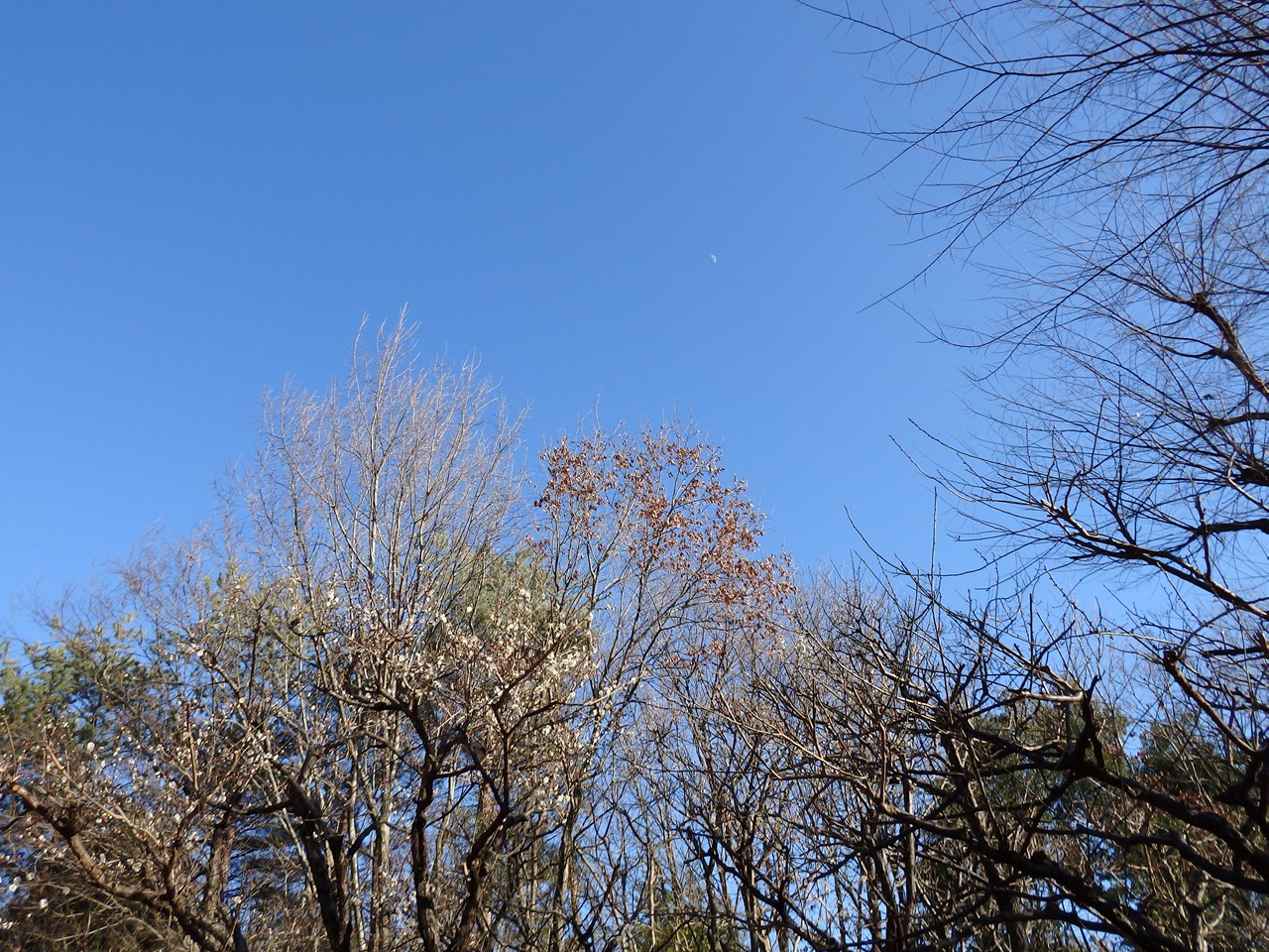 d0054276_1948797.jpg