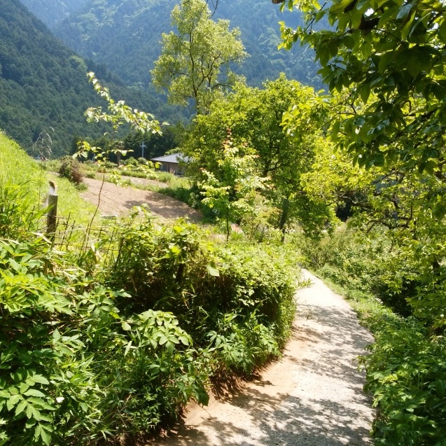 e0371086_20120525.jpg