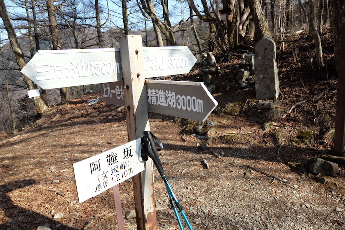 b0339488_20213179.jpg