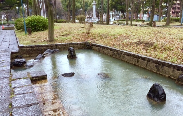 名古屋は雨模様_f0253789_16404173.jpg