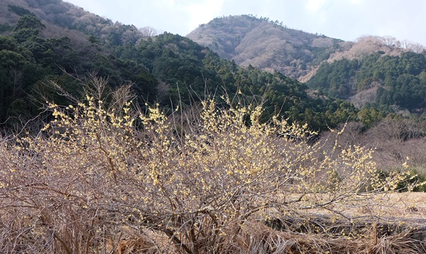 d0153294_15162591.jpg