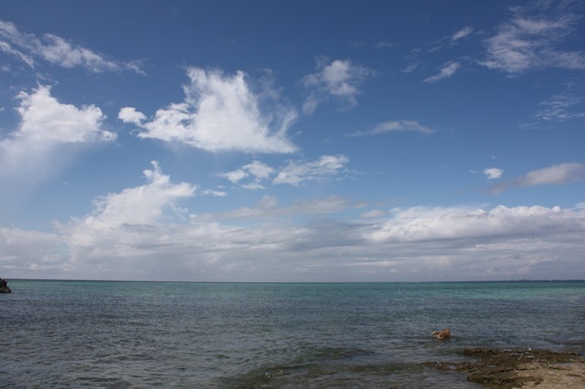 c0193396_16210834.jpg