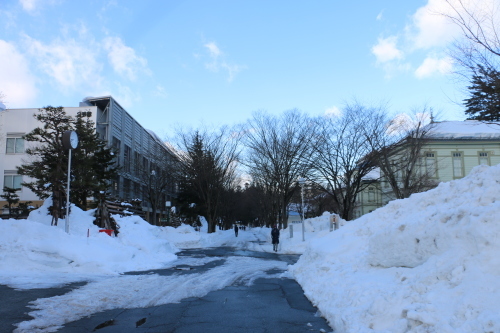 朝のキャンパス　２月6日　（立春・初候）　東風凍りを解く・・・１_c0075701_22263255.jpg