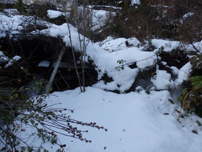 c0156104_23320137.jpg