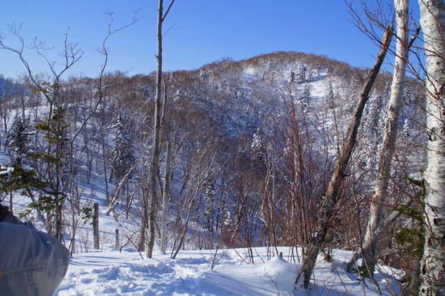 a0345007_2021113.jpg
