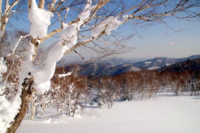 a0345007_20334027.jpg