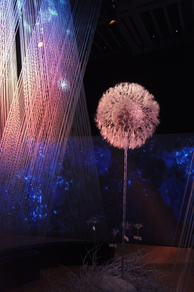 b0112909_23365925.jpg