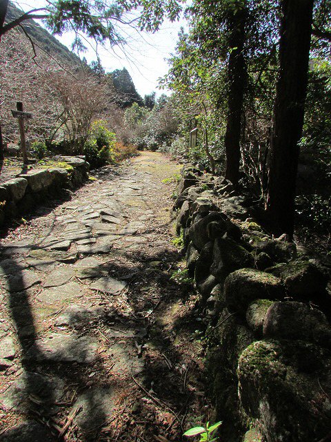 三木里コースウォーキング (その2)_e0321325_1095592.jpg