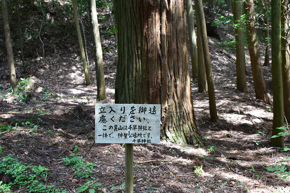 e0158128_20230156.jpg
