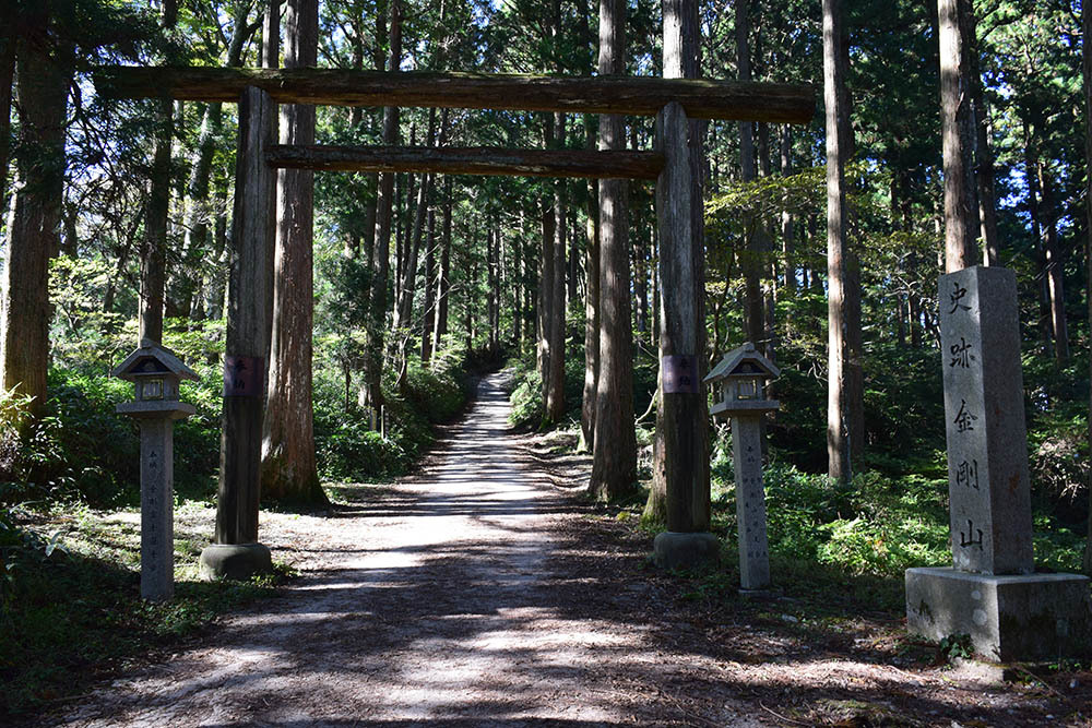 太平記を歩く。　その１６　「金剛山（國見城跡）・前編」　大阪府南河内郡千早赤阪村・奈良県御所市_e0158128_20414145.jpg