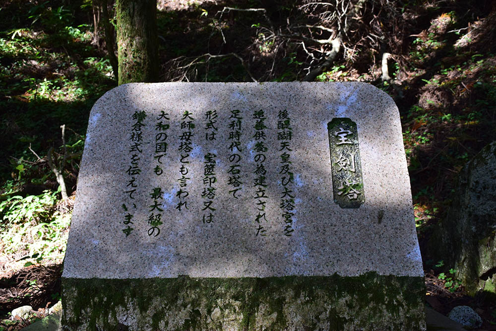 太平記を歩く。 その17 「金剛山(國見城跡)・後編」 大阪府南河内郡千早赤阪村・奈良県御所市_e0158128_21020439.jpg
