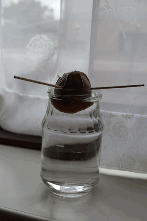 c0136736_15060452.gif