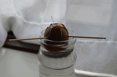 c0136736_15060908.gif