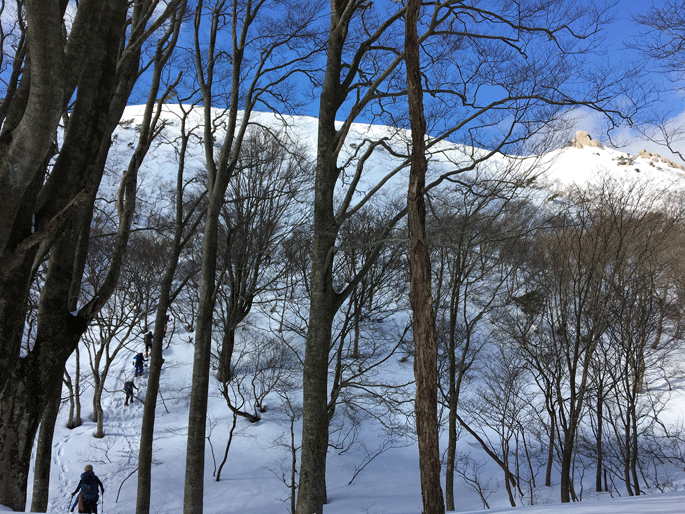e0371039_193966.gif