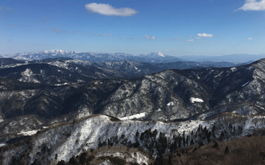 e0371039_19402067.gif