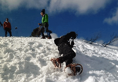 e0371039_19422735.gif