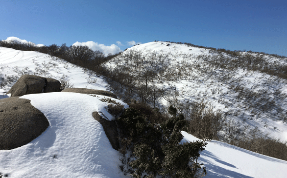 e0371039_19425027.gif