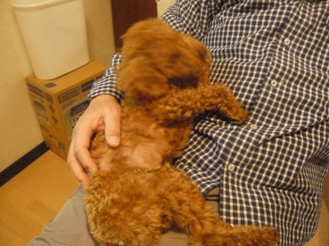 c0365341_20512688.gif