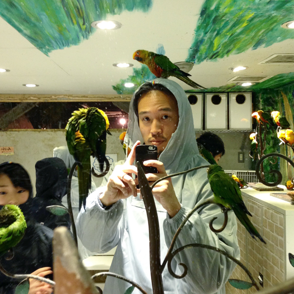 浅草「鳥のいるカフェ」の鳥たちがやんちゃすぎる！_c0060143_20444741.jpg