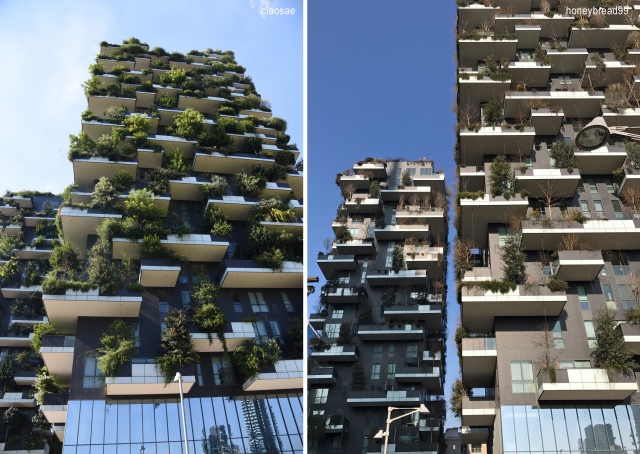 Bosco Verticale d\'inverno「垂直の森」冬の景観_d0262144_18173633.jpg