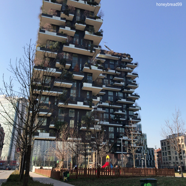 Bosco Verticale d\'inverno「垂直の森」冬の景観_d0262144_18174881.jpg