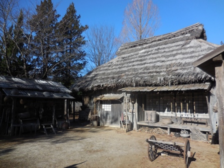 e0246154_11288.jpg