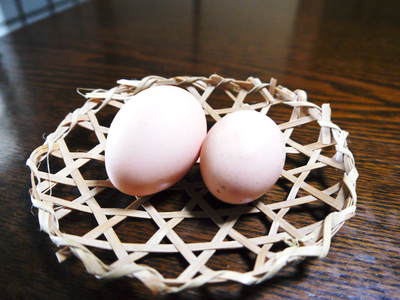 烏骨鶏の新鮮タマゴ!数量限定で再販売中! 熊本県菊池市菊池水源で育った烏骨鶏の朝採りのタマゴを即日発送_a0254656_18232987.jpg