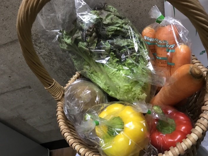 陽の恵み_f0178858_20134604.jpg