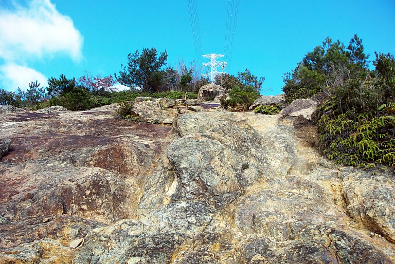 a0050572_1219613.jpg