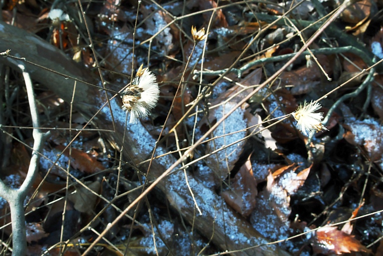 a0050572_12201999.jpg