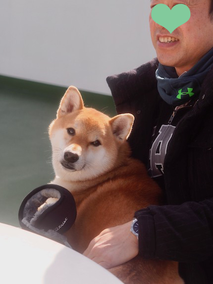 こっちゃん海を渡る　〜２０１７　冬〜　その１。_a0232774_18073838.jpg