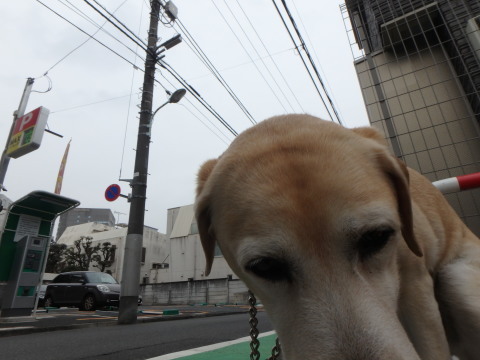 f0052277_00375689.jpg
